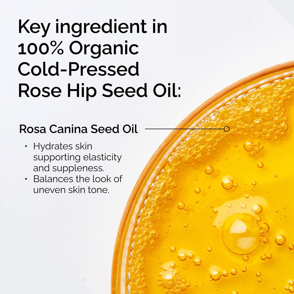 100-organic-cold-pressed-rose-hip-seed-oil-r2 FY25-D41247-ORD-Web-PDP-100-Rose-Hip-Oil-1x1-EN-2.jpg