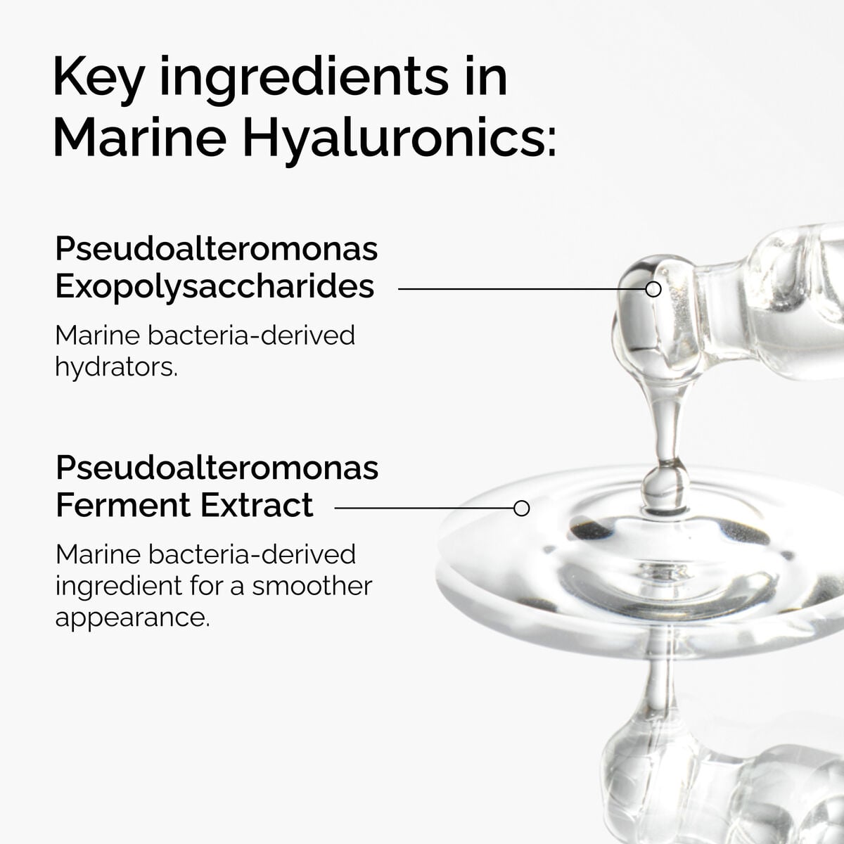 marine-hyaluronics-d0 FY25-D41247-ORD-Web-PDP-Marine-Hya-1x1-EN-2a.jpg