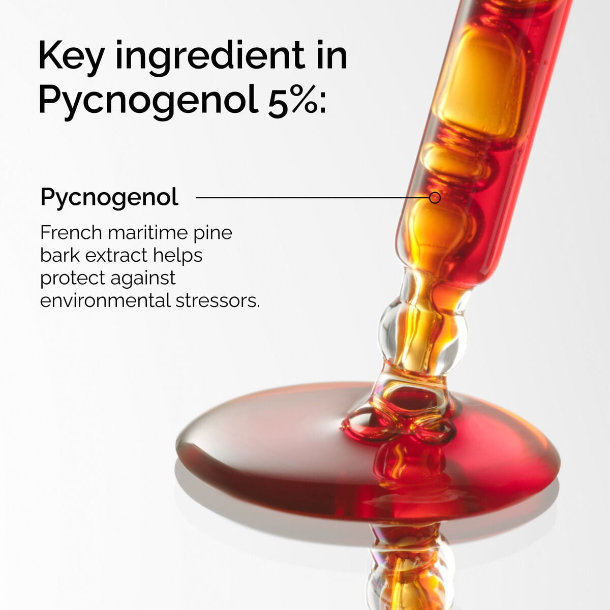pycnogenol-5-g6 FY25-D41247-ORD-Web-PDP-Pyc-5pct-1x1-EN-2a.jpg