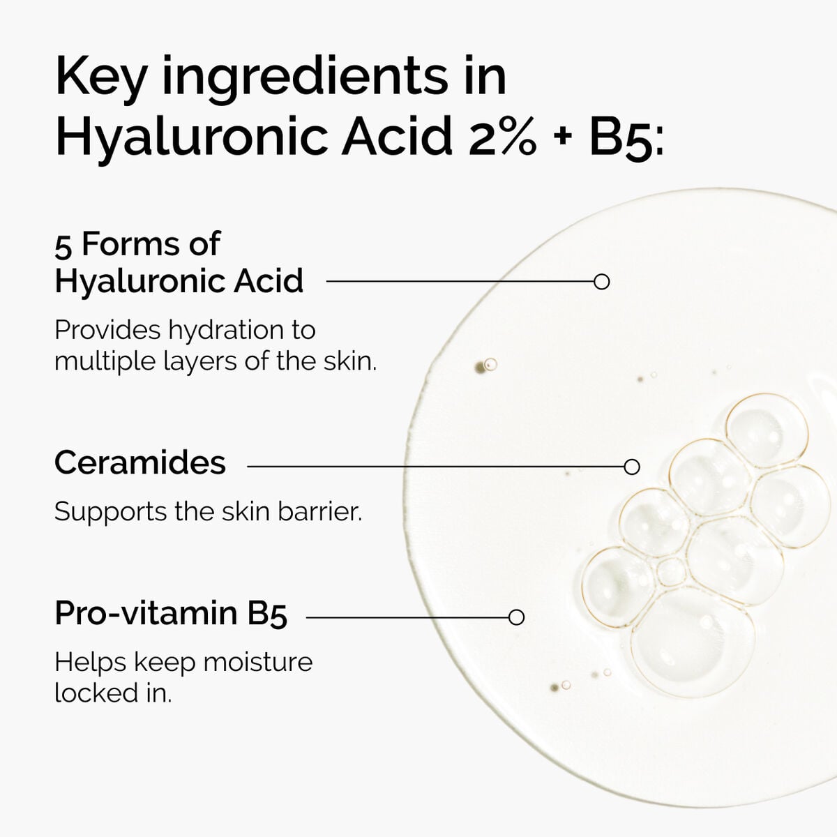 hyaluronic-acid-2-b5-with-ceramides-s4 ord-hyaluronic-acid-2pct-b5-hydrating-serum-ingredients-graphic.jpg