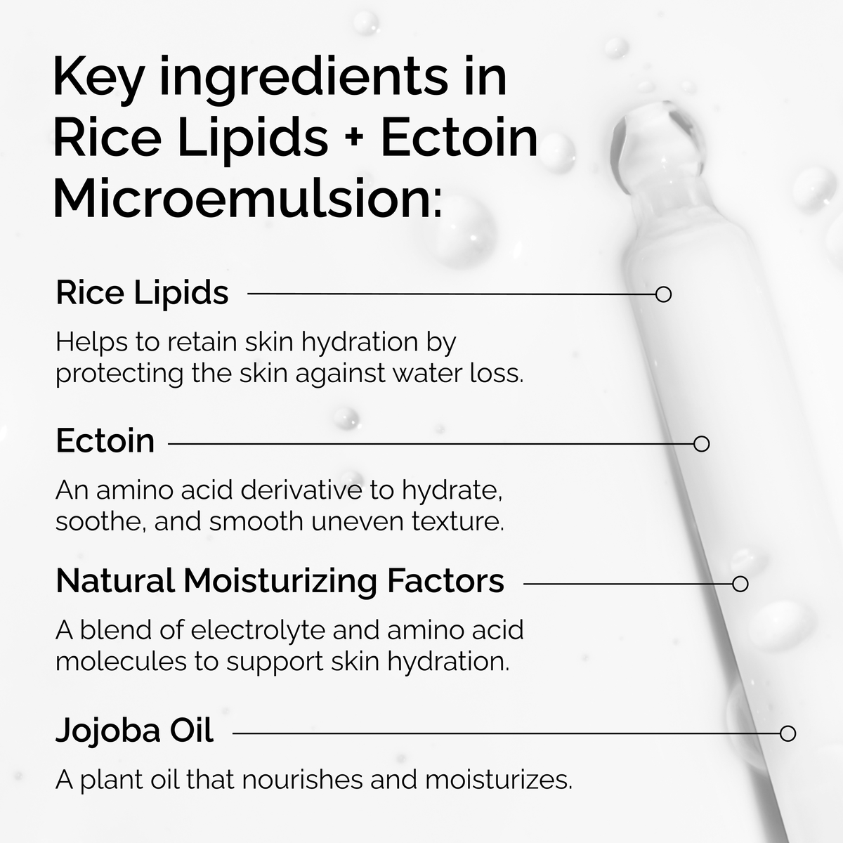 rice-lipids-ectoin-microemulsion-u4 ord-rice-lipids-ectoin-microemulsion-key-ingredients.png